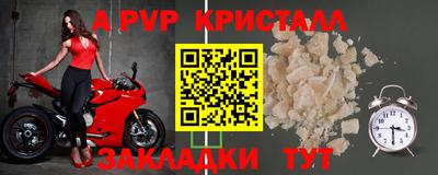 дмт Гусев