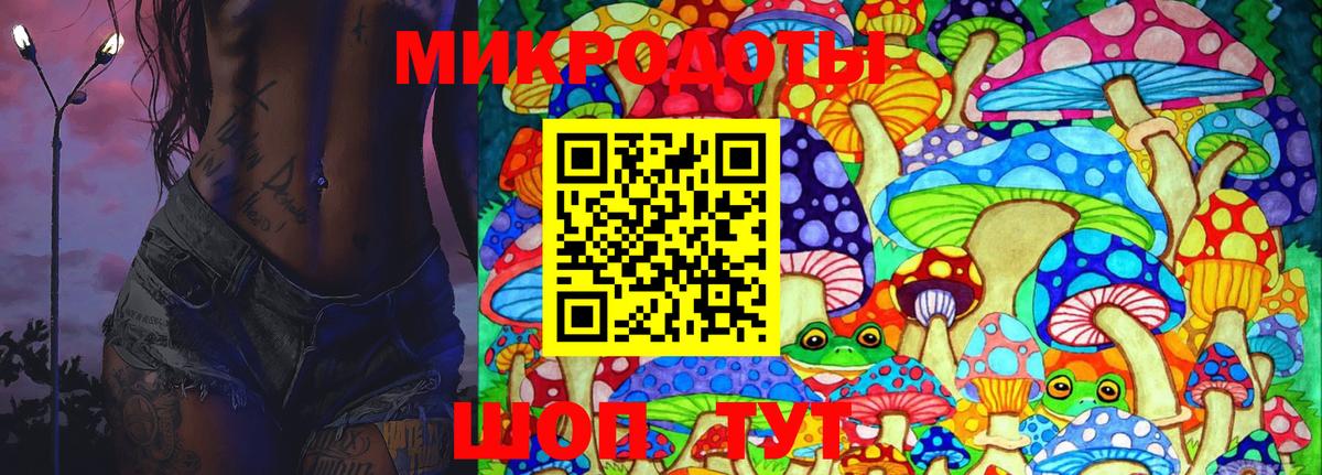 Псилоцибиновые грибы Psilocybe Нововоронеж