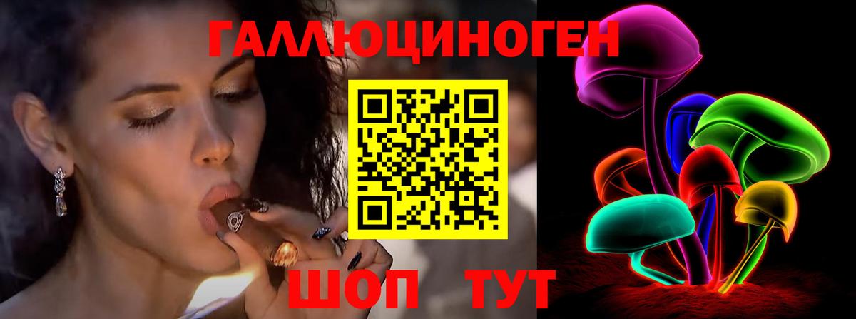 хочу   Галлюциногенные грибы Cubensis  Вход с VPN  Нововоронеж  Псилоцибиновые грибы GOLDEN TEACHER 